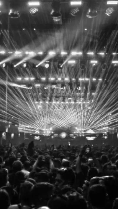 ELECTRONIC NIGHTS